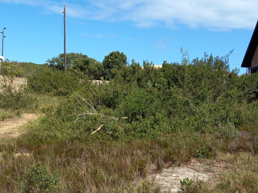 0 Bedroom Property for Sale in Kleinkrantz Western Cape